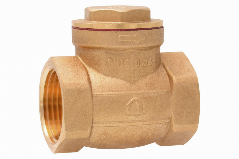 Clapet check valve 1-1/2