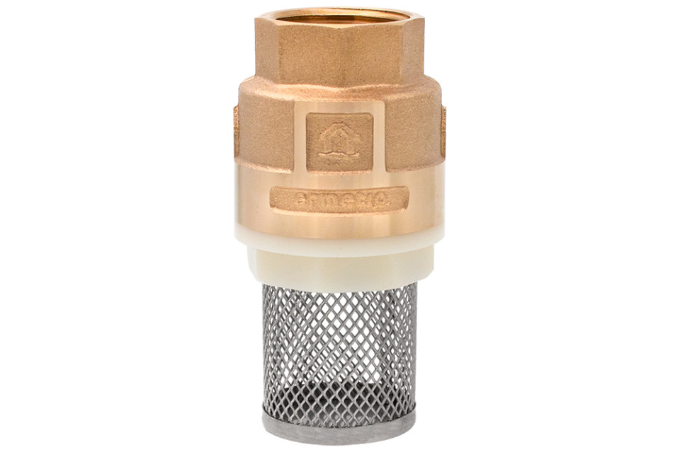 Check valve with brass core and strainer 3/4