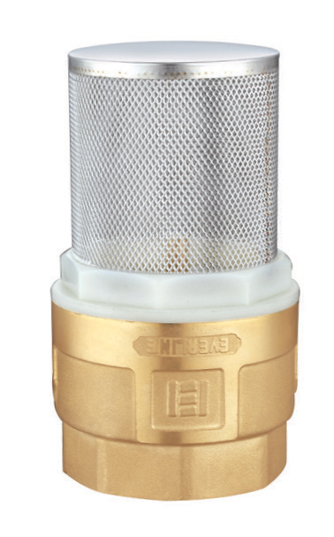 Check valve with brass core and strainer 1-1/4