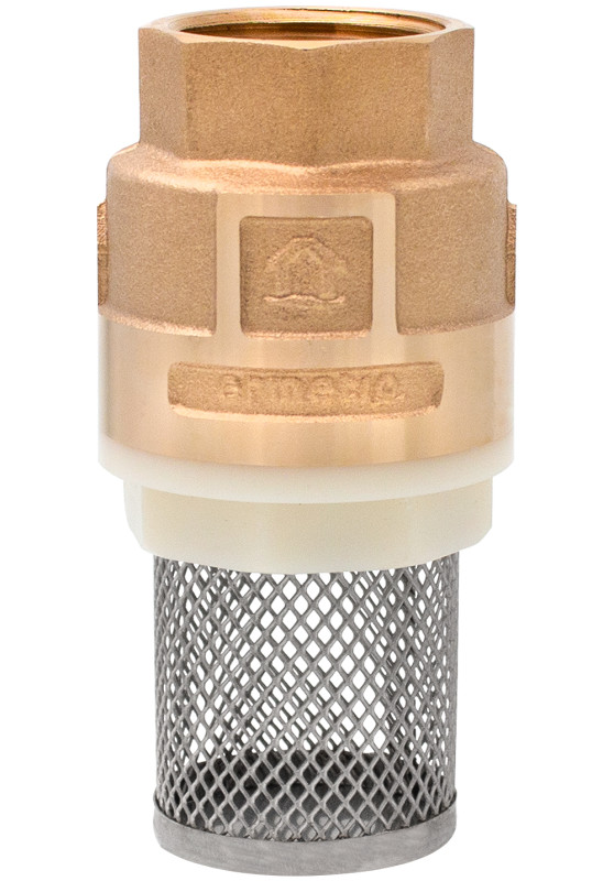 Check valve with brass core and strainer 2