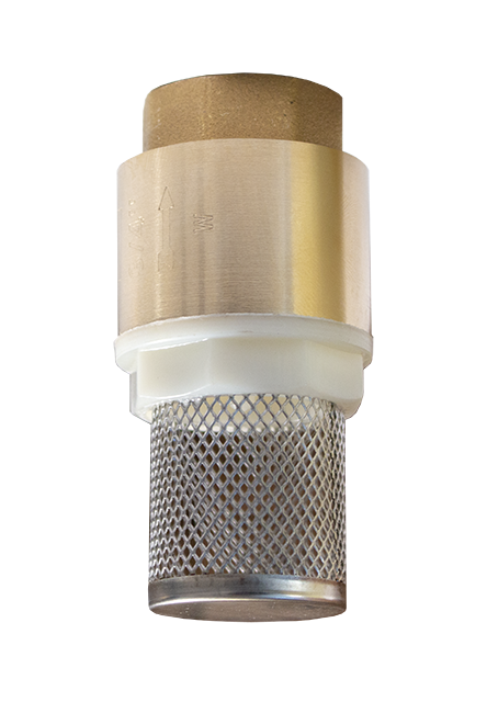 Check valve with plastic core and strainer 3/4