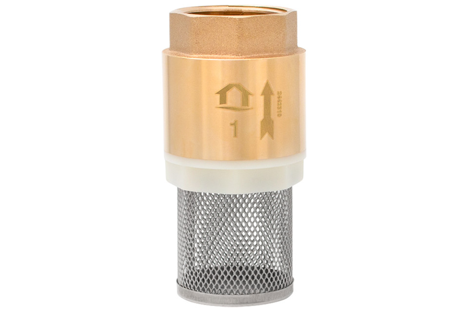 Check valve with plastic core and strainer 1