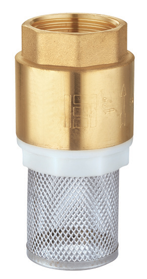 Check valve with plastic core and strainer 1-1/4