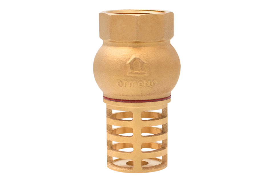 Foot valve with brass strainer 3/4