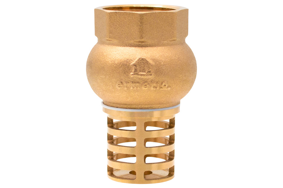 Foot valve with brass strainer 1